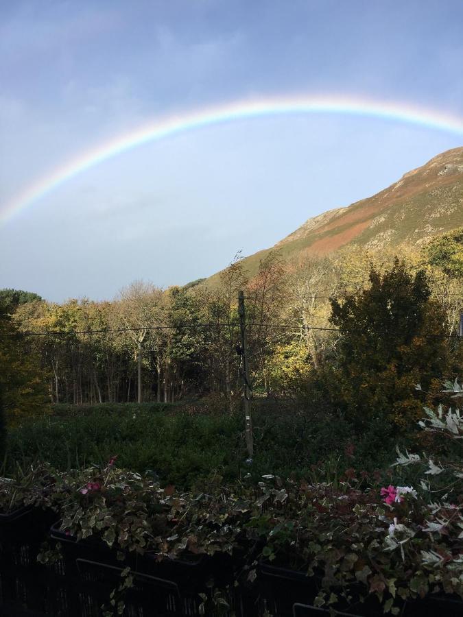 Penmaen-mawr Woodbriar B&B 외부 사진