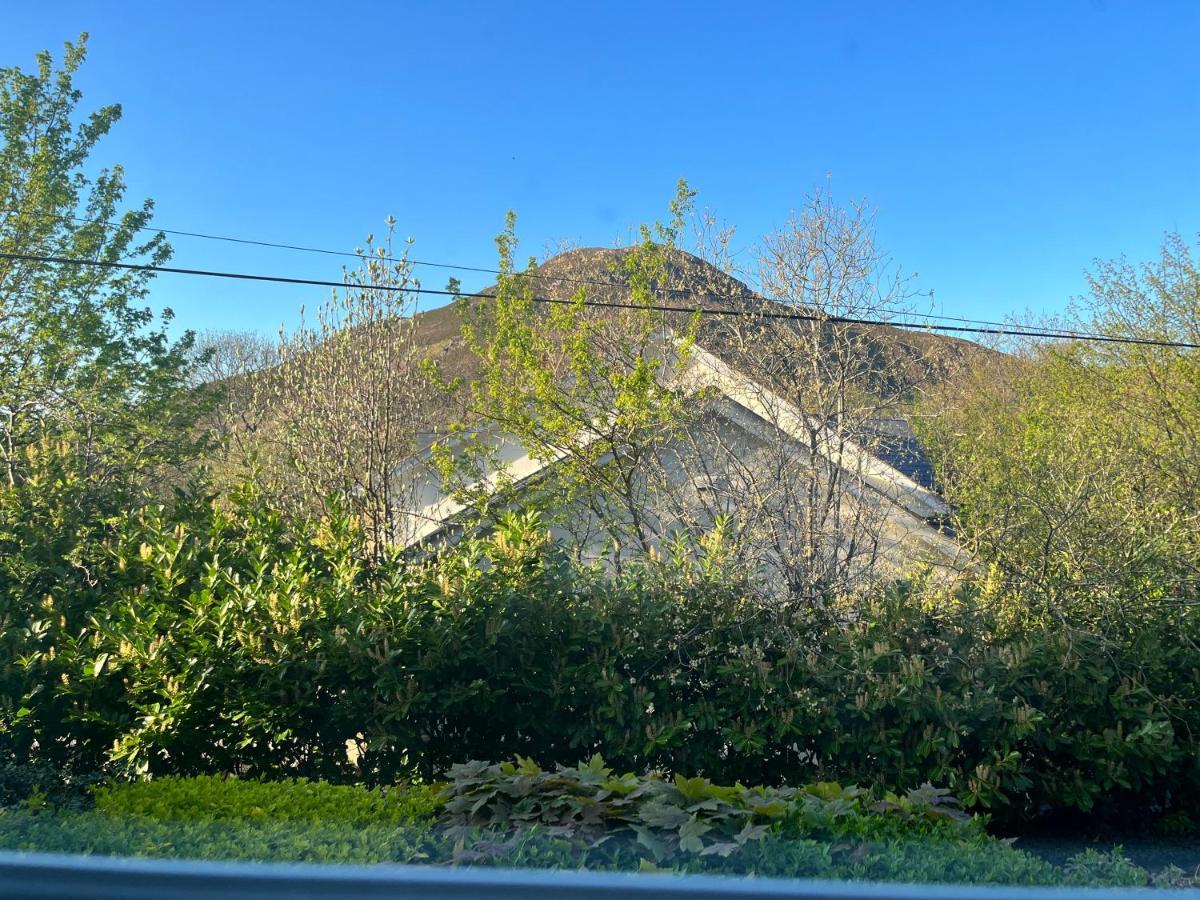 Penmaen-mawr Woodbriar B&B 외부 사진